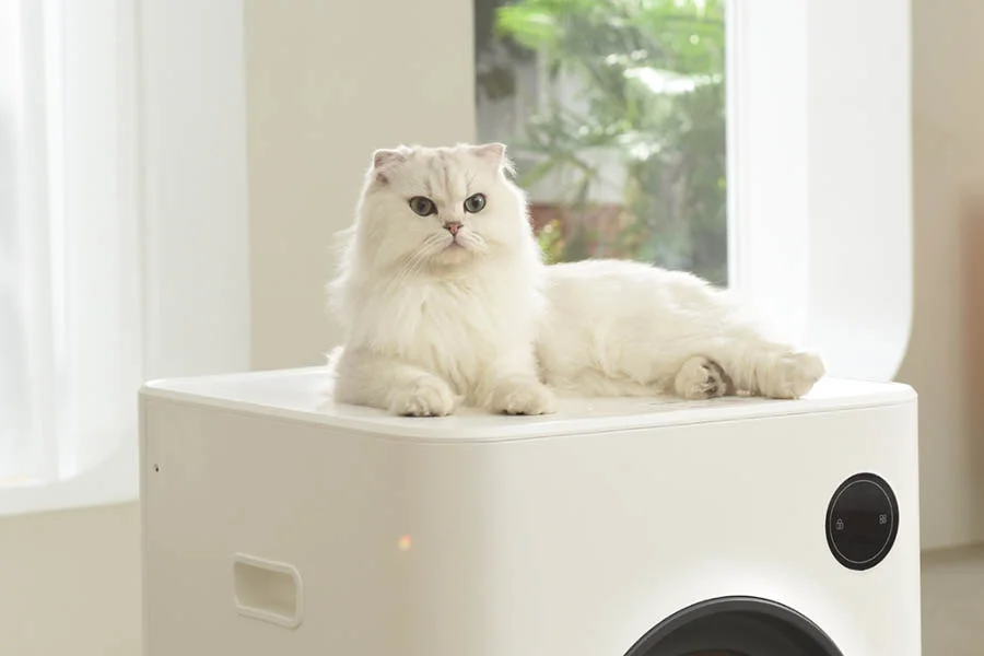 auto litter boxes for cats